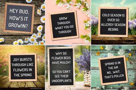 funny spring sayings for letter boards|More.